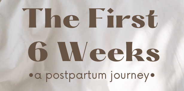 The First 6 Weeks…