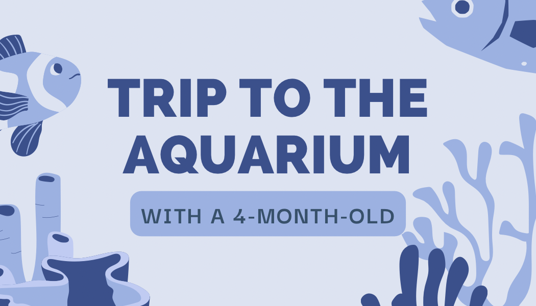 Aquarium With a Four-Month-Old