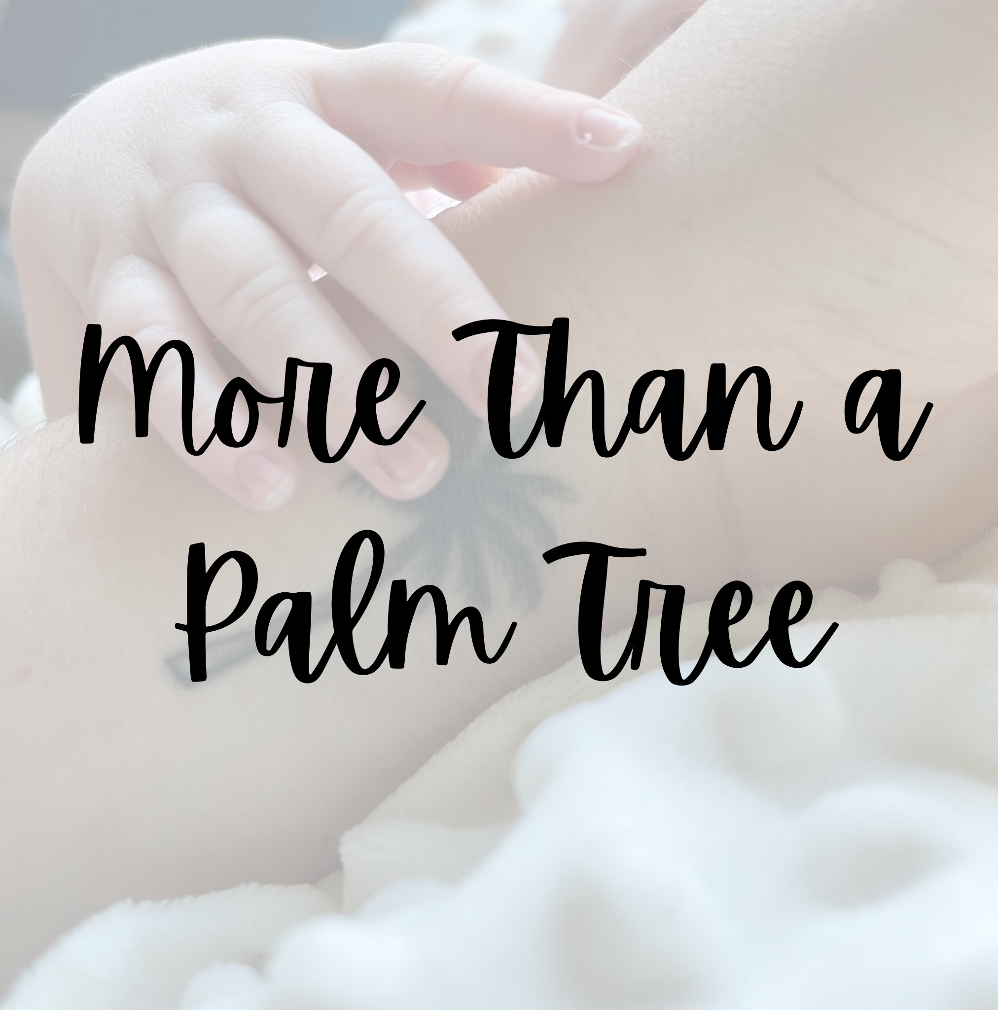 More Than A Palm Tree